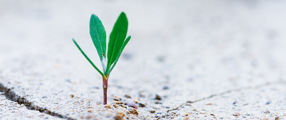 Vergis-die-Vergangenheit_1161x490px VERGISS DIE VERGANGENHEIT, JESUS TUT WAS NEUES!